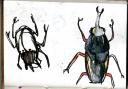 glaneur-insectarium-3.jpg