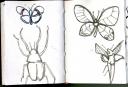 glaneur-insectarium-6.jpg