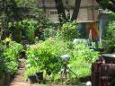 jardin-communautaire2_0412.jpg