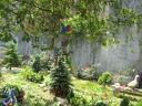 jardin-communautaire_0407.jpg