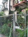 jardin-immeuble_1093.jpg