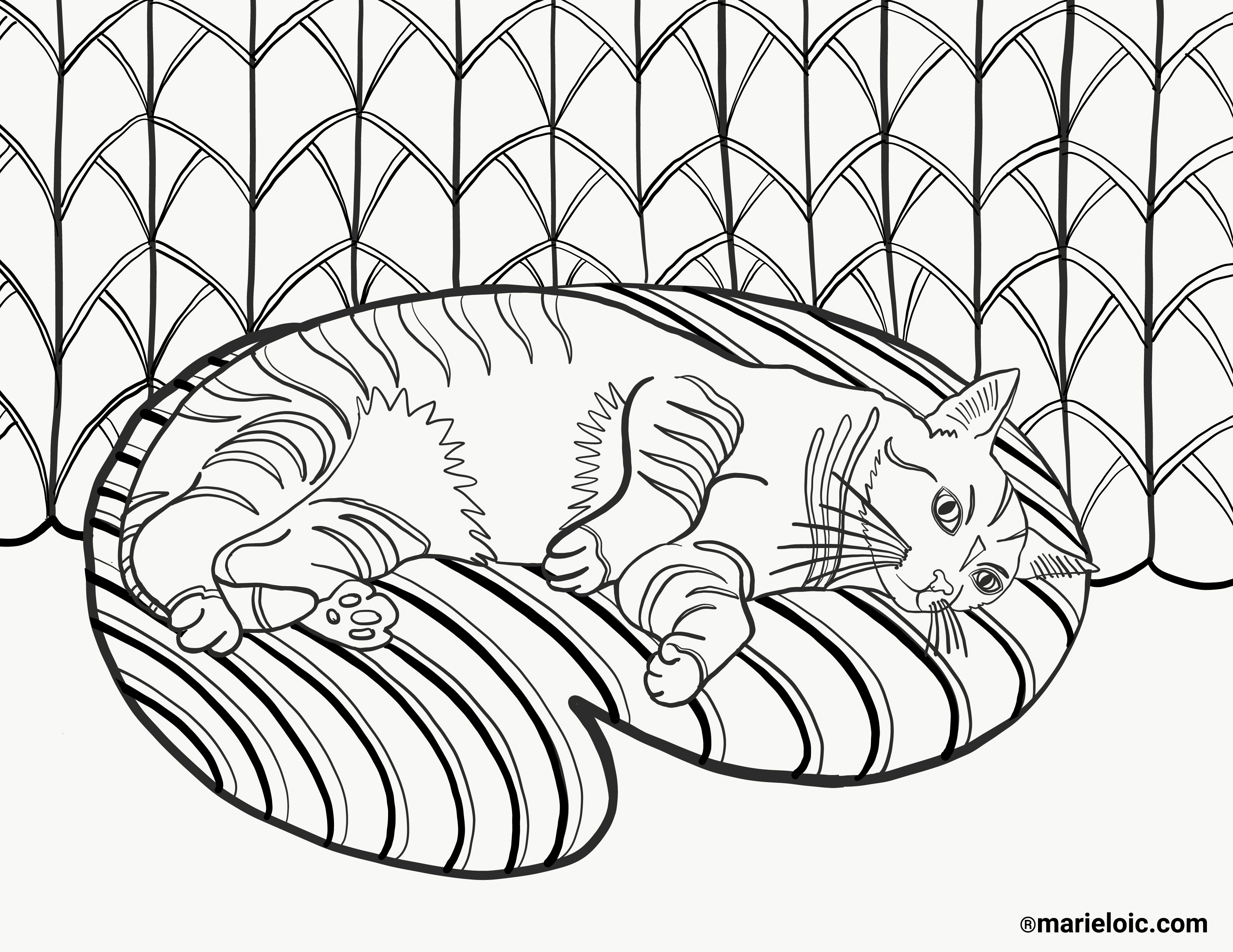 Dessin A Colorier Un Chat Sur Coussin Marie Loic Senamaud
