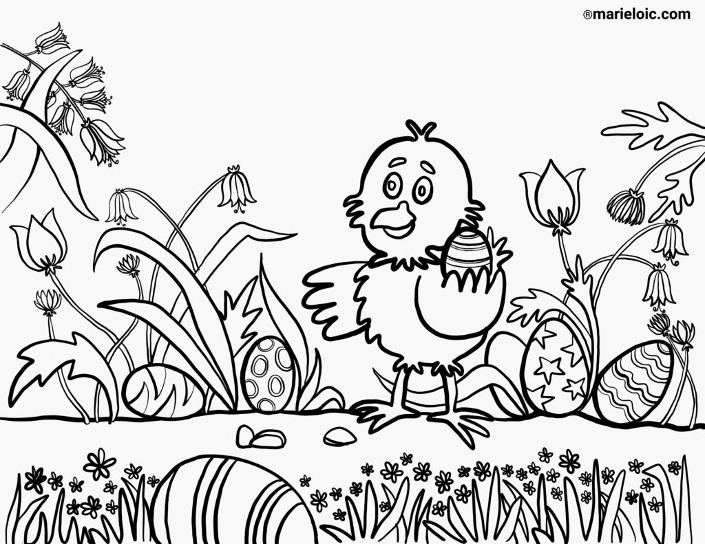 dessin-colorier-un-poussin-avec-ses-oeufs-de-p-ques-marie-lo-c