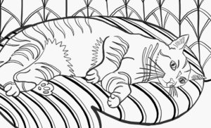 Chat Qui Dort Marie Loic Senamaud