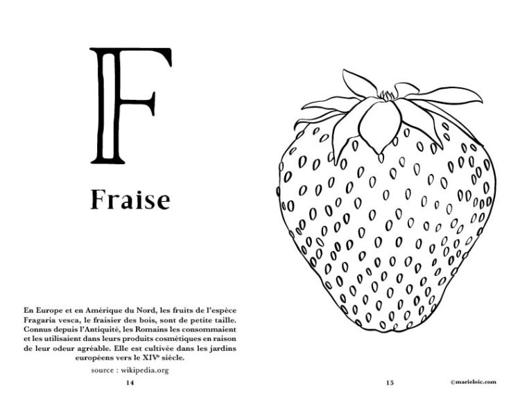 Abécédaire des fruits à colorier | Marie-Loïc Sénamaud